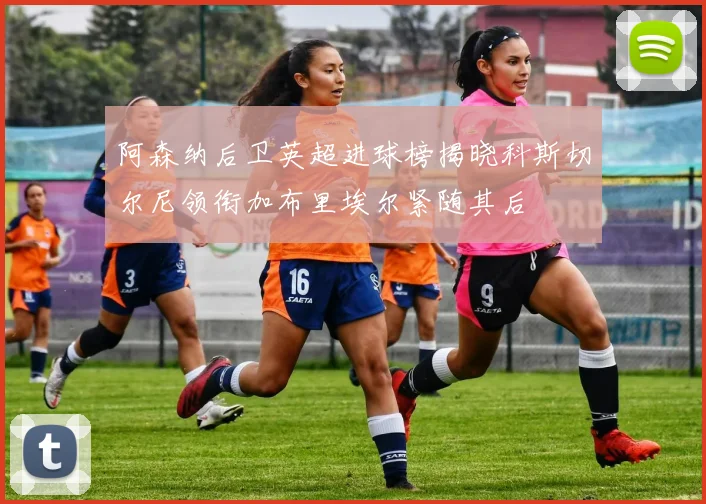 阿森纳后卫英超进球榜揭晓科斯切尔尼领衔加布里埃尔紧随其后