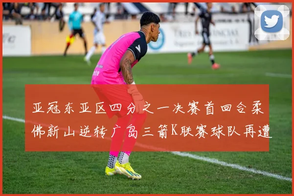 亚冠东亚区四分之一决赛首回合柔佛新山逆转广岛三箭K联赛球队再遭不胜困扰