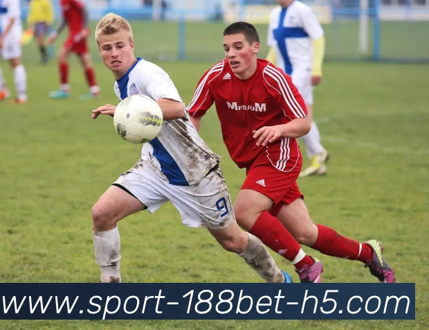 188bet体育服务体系